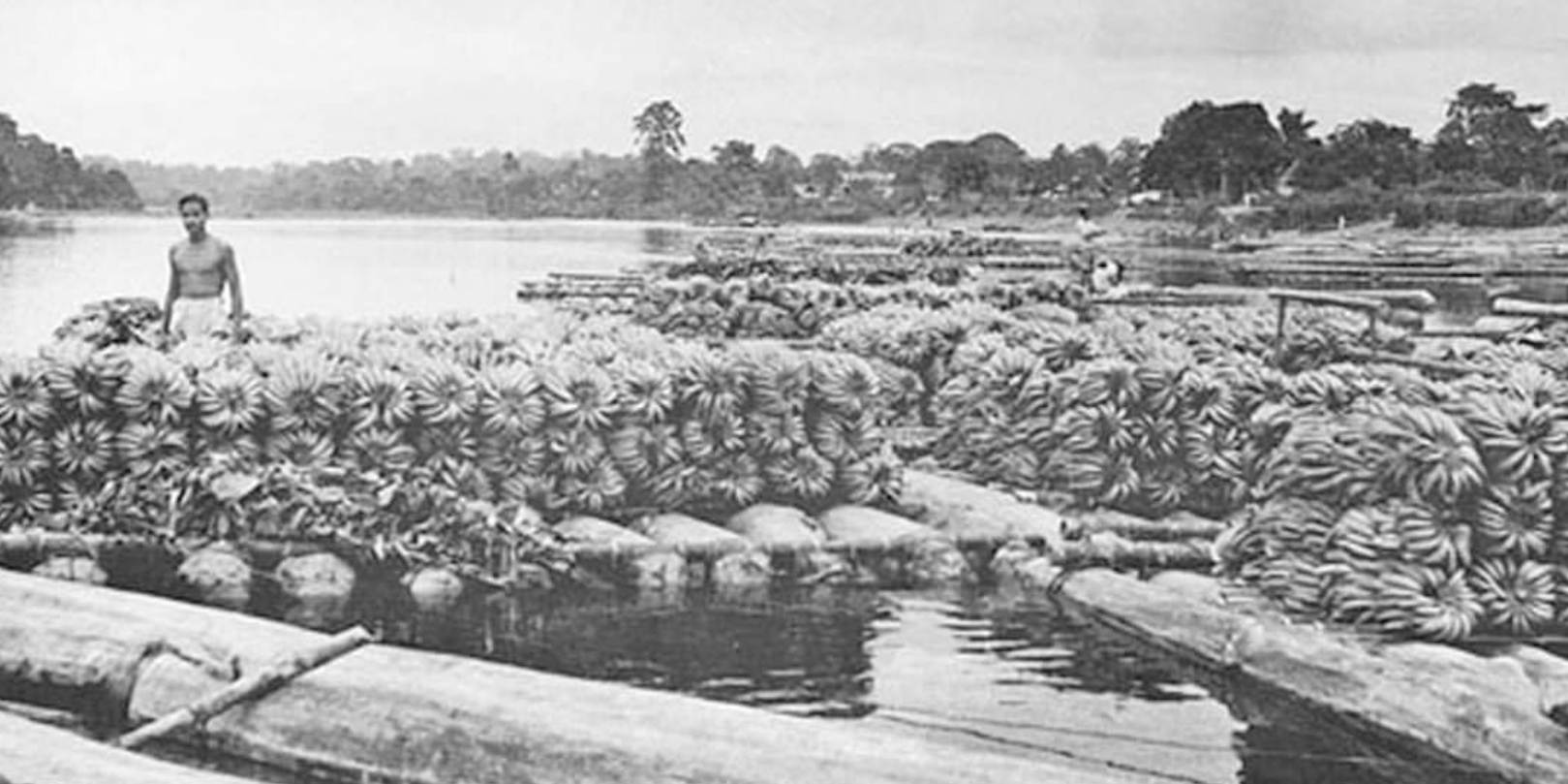 Captura de pantalla 2024-06-02 a la(s) 11.35.16